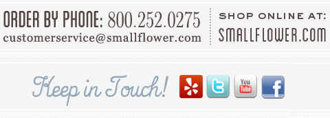 Keep In Touch Keep In Touch